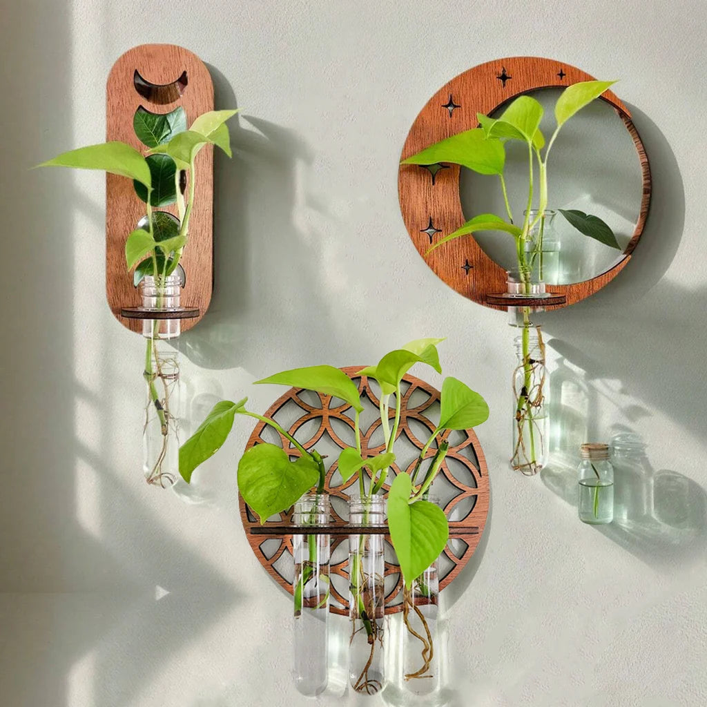 1PC Moon Plant Propagation Station, Moon Phase Wall Hanging Terrarium Planter with Glass Tube, Wall Plant Holder for Propagate Hydroponics Air Plants, Wall Plants, Dried Flower Home Decor