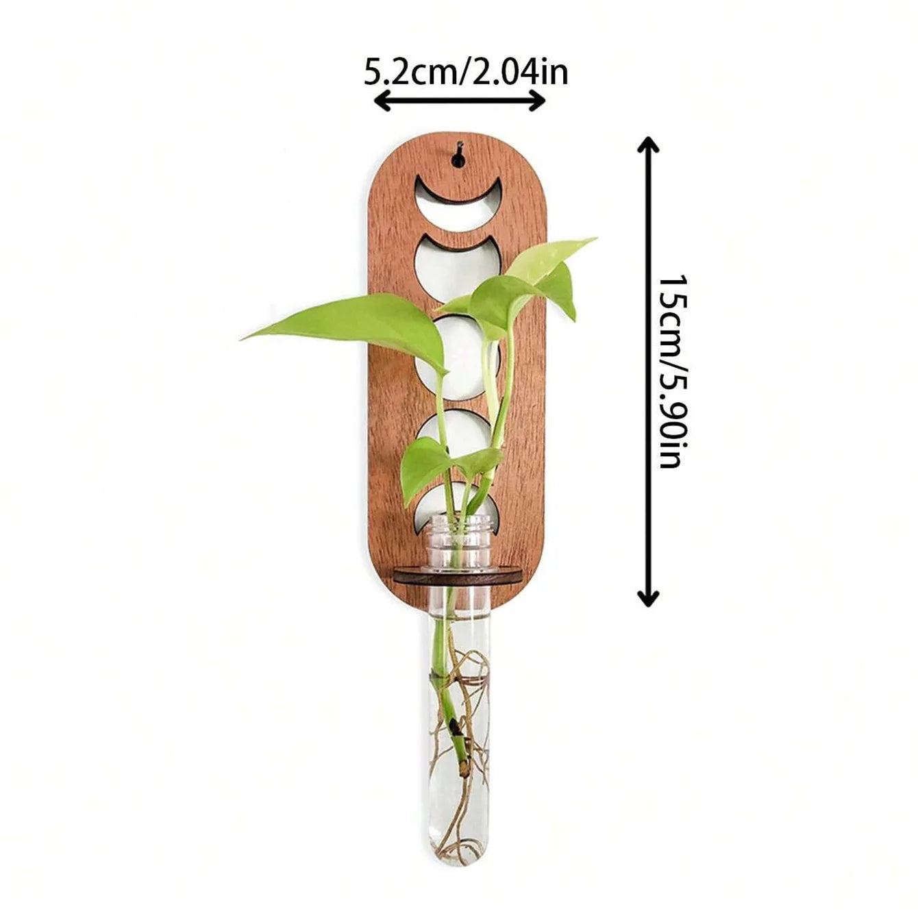 1PC Moon Plant Propagation Station, Moon Phase Wall Hanging Terrarium Planter with Glass Tube, Wall Plant Holder for Propagate Hydroponics Air Plants, Wall Plants, Dried Flower Home Decor