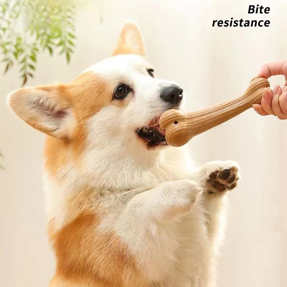 1pc Bite Resistant Pet Dog Chew Toys Molar Teeth Clean Stick Interesting Pine Wood Cute Bone Shape Durable Pet Accessories