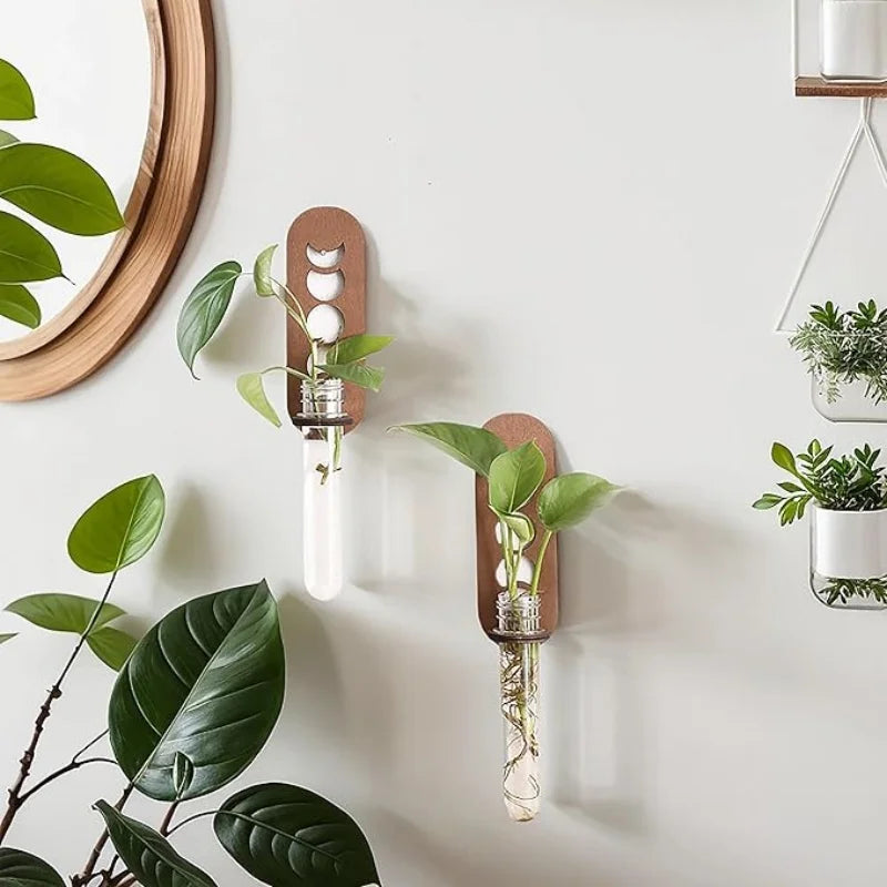 1PC Moon Plant Propagation Station, Moon Phase Wall Hanging Terrarium Planter with Glass Tube, Wall Plant Holder for Propagate Hydroponics Air Plants, Wall Plants, Dried Flower Home Decor