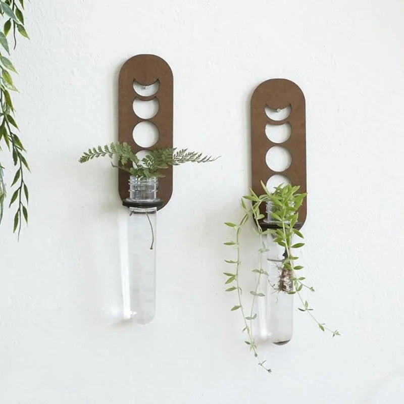 1PC Moon Plant Propagation Station, Moon Phase Wall Hanging Terrarium Planter with Glass Tube, Wall Plant Holder for Propagate Hydroponics Air Plants, Wall Plants, Dried Flower Home Decor
