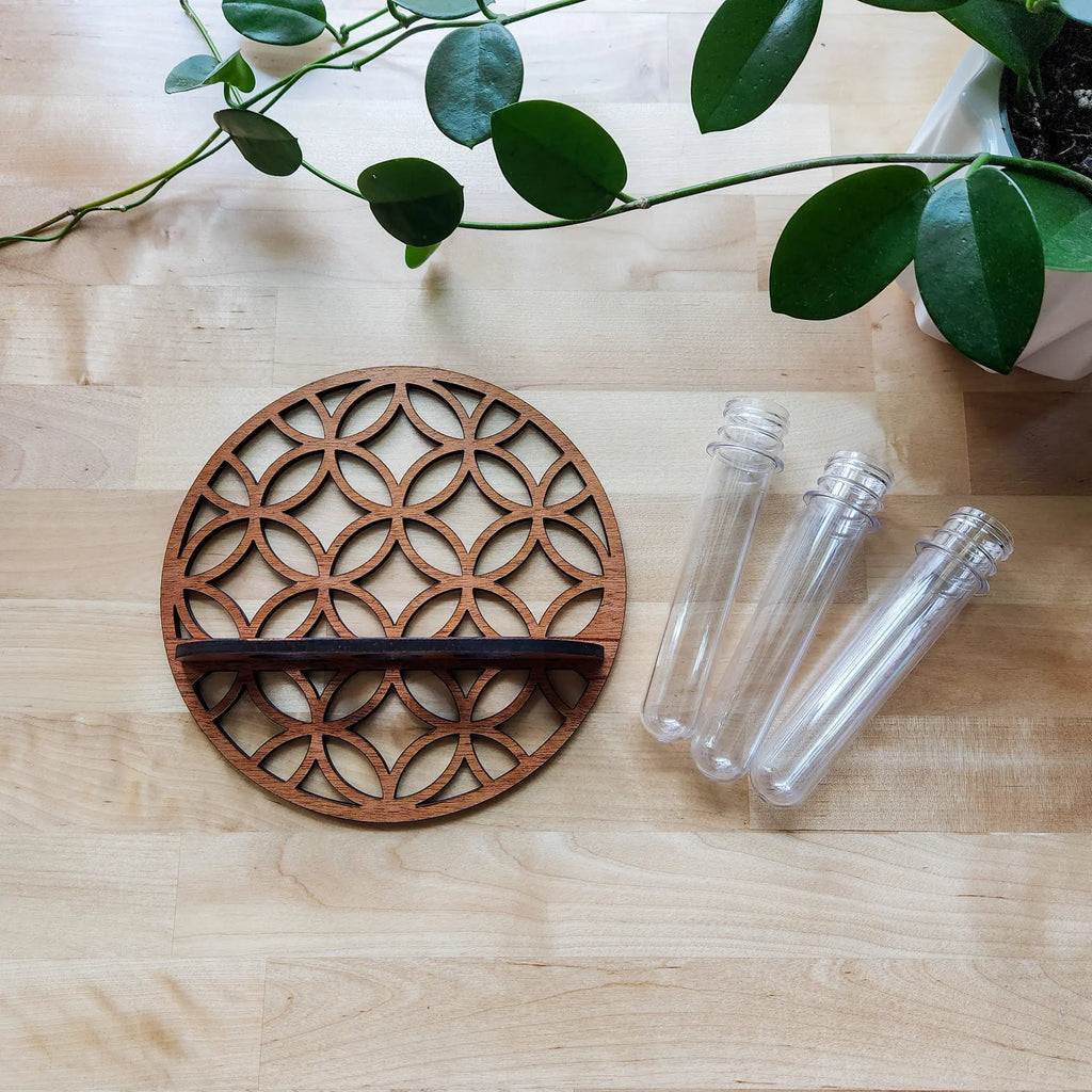 1PC Moon Plant Propagation Station, Moon Phase Wall Hanging Terrarium Planter with Glass Tube, Wall Plant Holder for Propagate Hydroponics Air Plants, Wall Plants, Dried Flower Home Decor