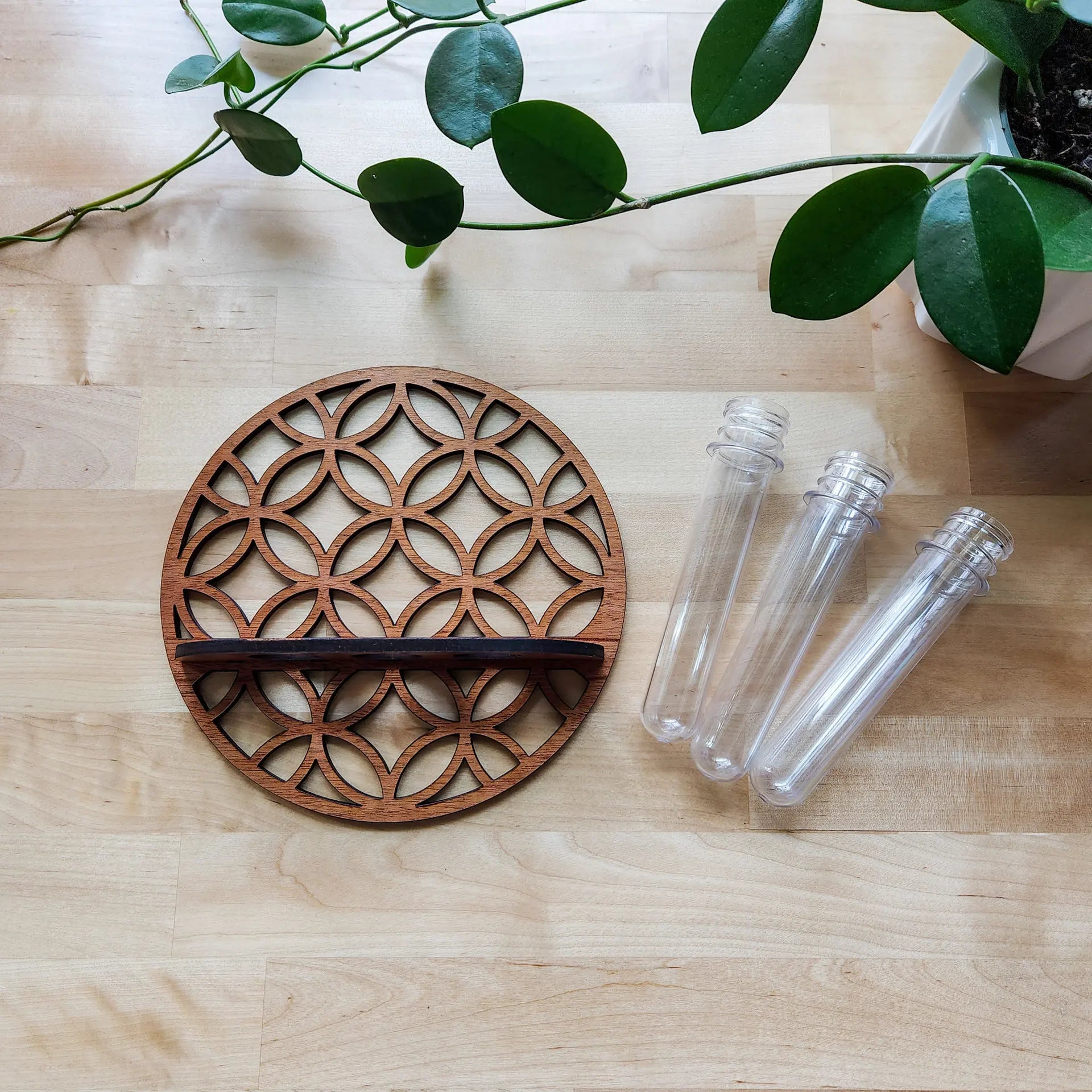 1PC Moon Plant Propagation Station, Moon Phase Wall Hanging Terrarium Planter with Glass Tube, Wall Plant Holder for Propagate Hydroponics Air Plants, Wall Plants, Dried Flower Home Decor