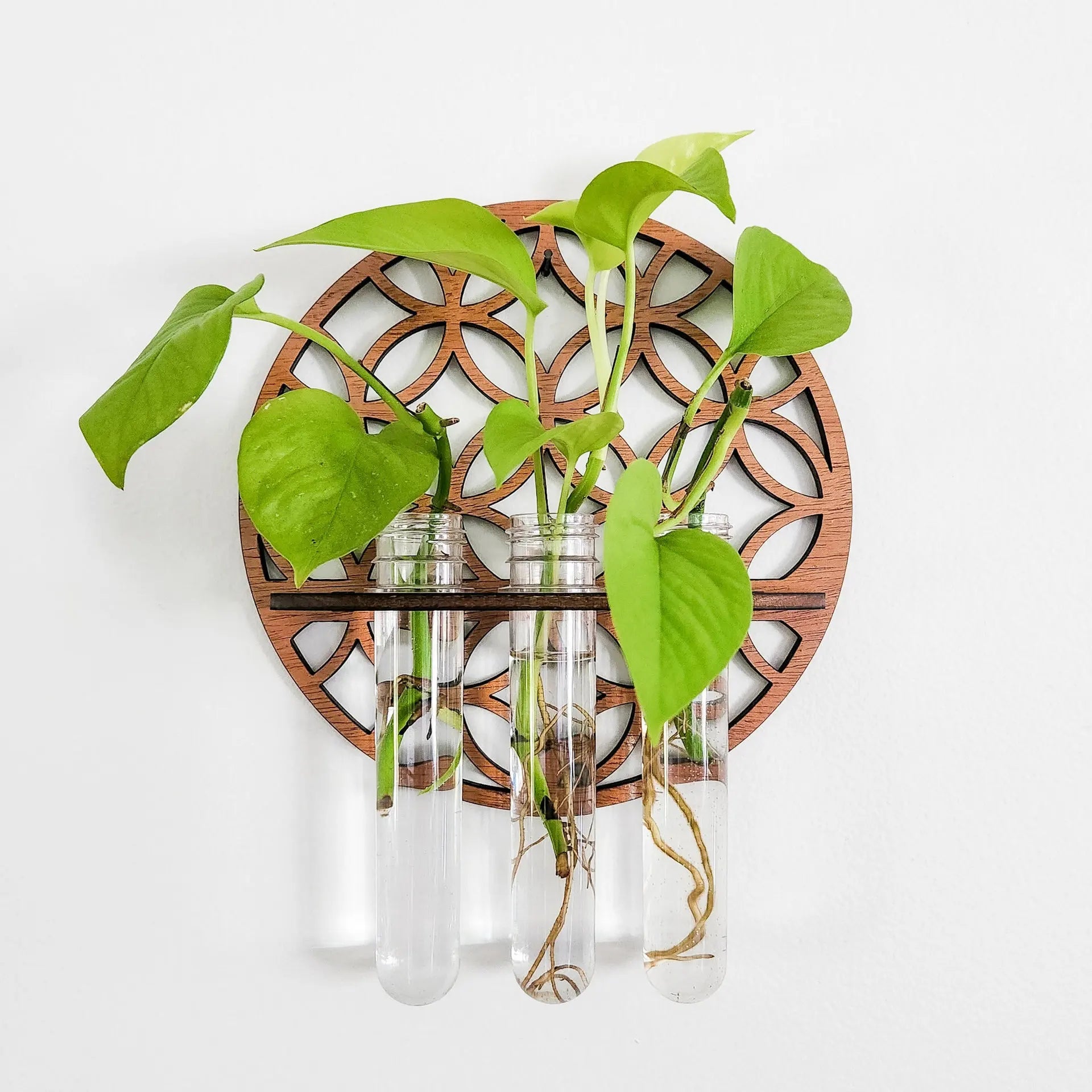 1PC Moon Plant Propagation Station, Moon Phase Wall Hanging Terrarium Planter with Glass Tube, Wall Plant Holder for Propagate Hydroponics Air Plants, Wall Plants, Dried Flower Home Decor