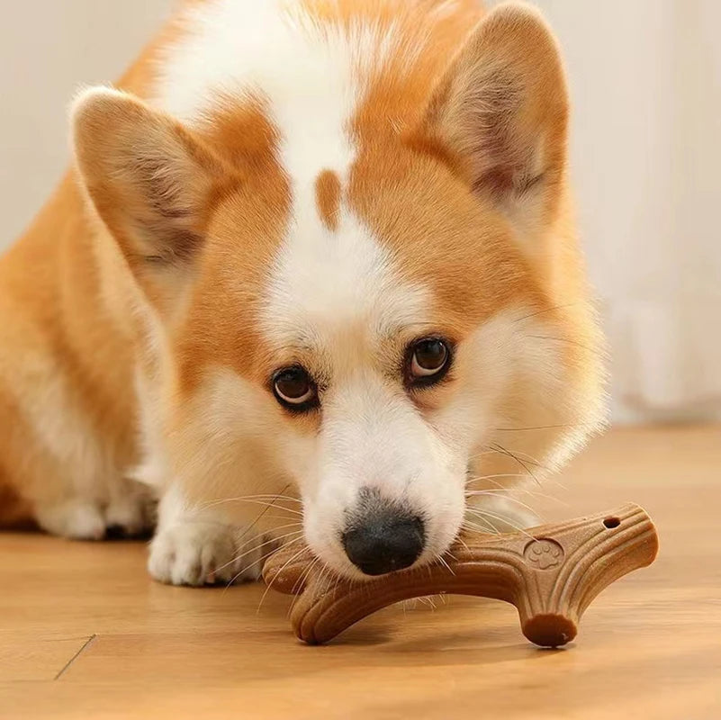 Bite Resistant Pet Dog Chew Toys Molar Teeth Clean Stick Interesting Pine Wood Cute Bone Shape Durable Pet Accessories (Copy)