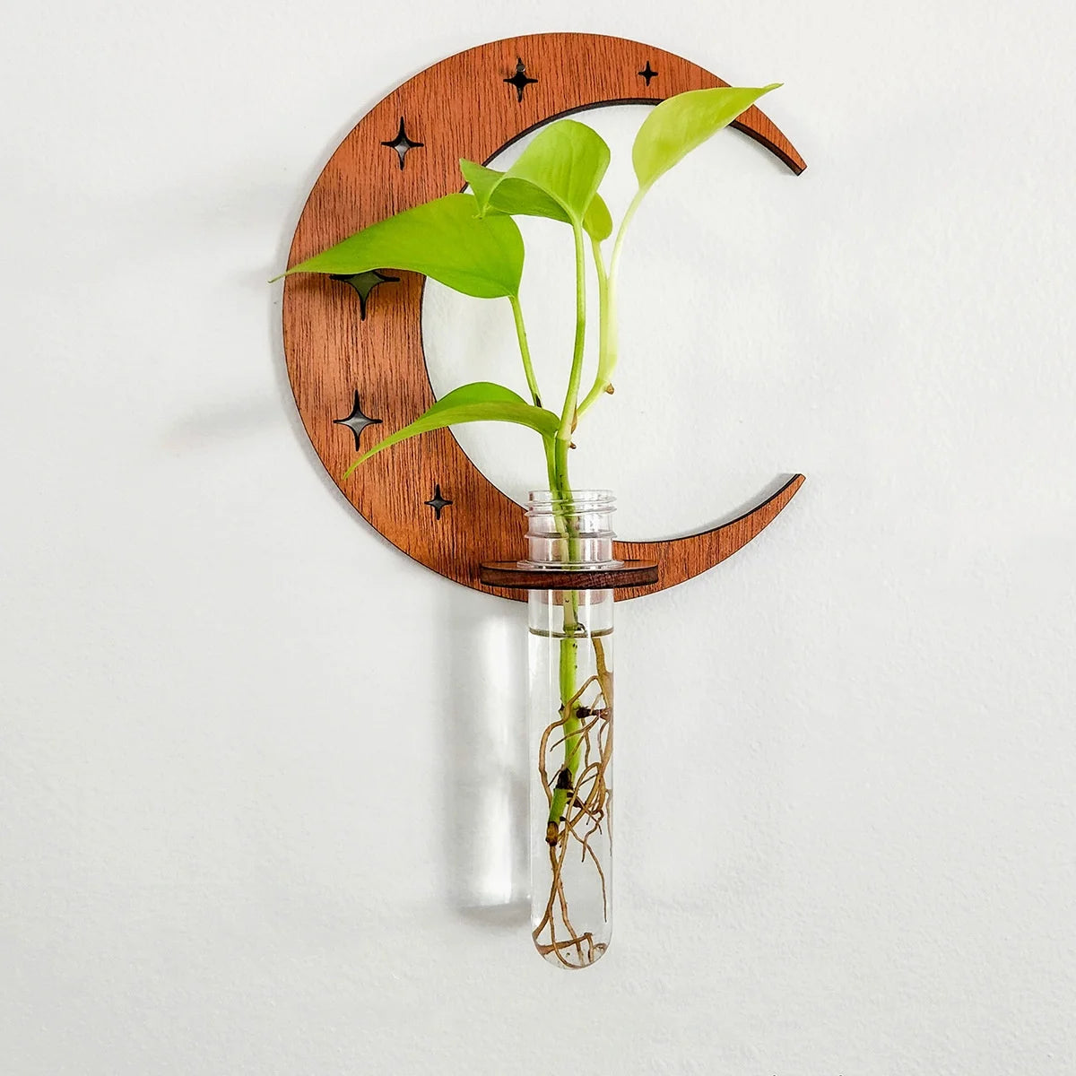 1PC Moon Plant Propagation Station, Moon Phase Wall Hanging Terrarium Planter with Glass Tube, Wall Plant Holder for Propagate Hydroponics Air Plants, Wall Plants, Dried Flower Home Decor