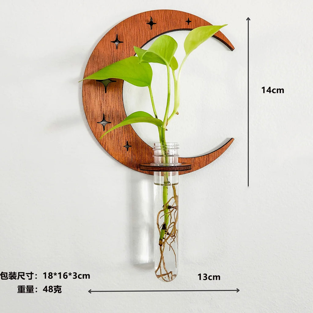 1PC Moon Plant Propagation Station, Moon Phase Wall Hanging Terrarium Planter with Glass Tube, Wall Plant Holder for Propagate Hydroponics Air Plants, Wall Plants, Dried Flower Home Decor