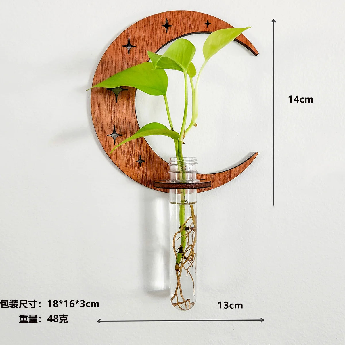 1PC Moon Plant Propagation Station, Moon Phase Wall Hanging Terrarium Planter with Glass Tube, Wall Plant Holder for Propagate Hydroponics Air Plants, Wall Plants, Dried Flower Home Decor